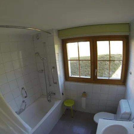 Apartment Jungfrau *